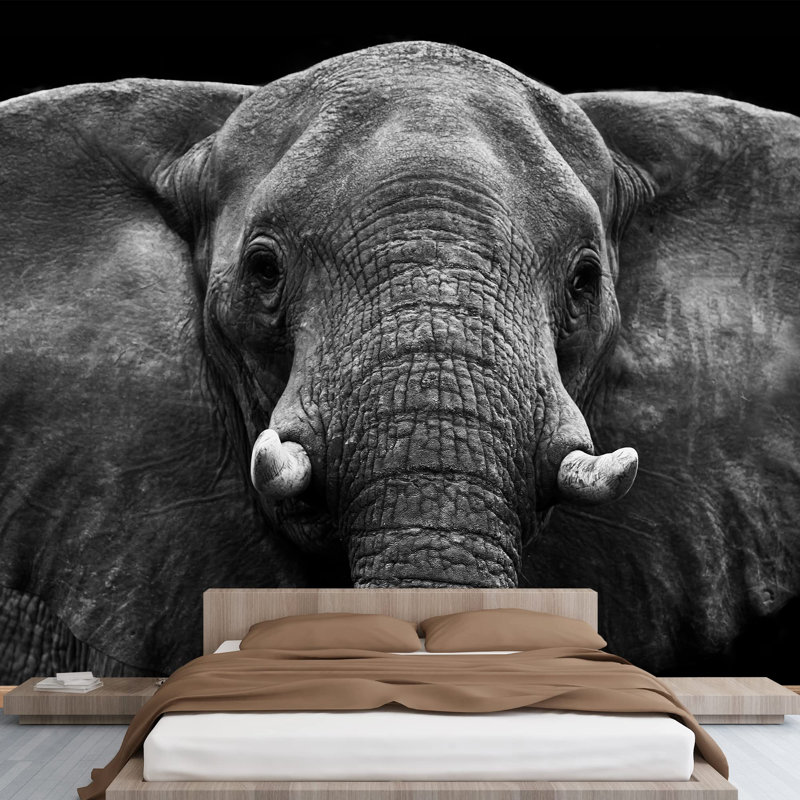 Elephant Removable Self Adhesive Large Wallpaper, 66" L x 96" W