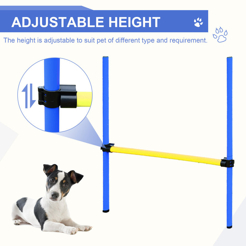 Blue and Yellow Dog Agility Training Course Kit