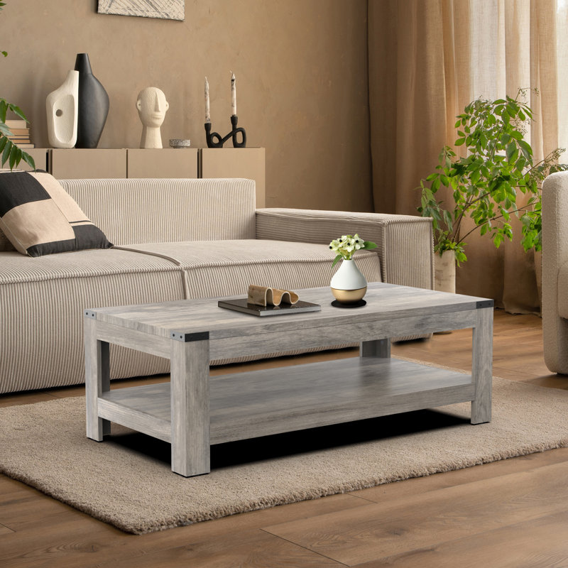 Damika Rectangular Coffee Table with 2-Tier Storage and Rustic Oak, Wash Grey