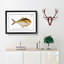 Green Mackerel Fish by M.E. Bloch - Picture Frame Painting Print-55609061-55609064