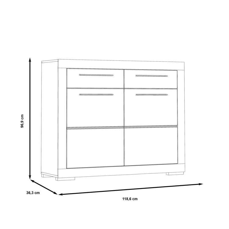 Anwen 12 Pair Shoe Storage Cabinet
