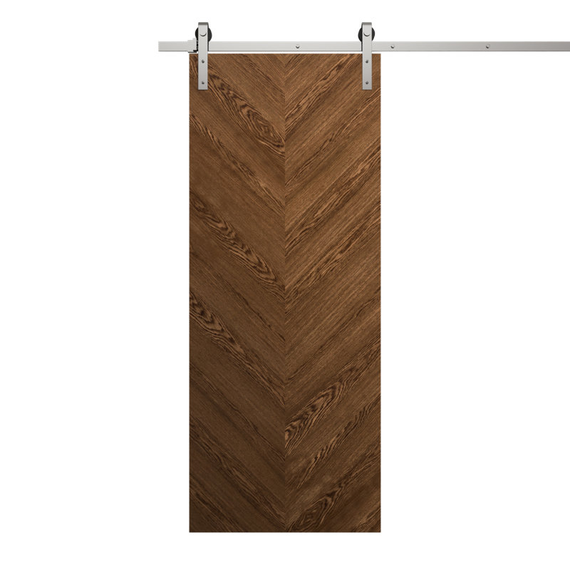 Porte de grange moderne | Ego 5005 | Ensemble de quincaillerie lourde Silver Rail Track | Portes intérieures solides