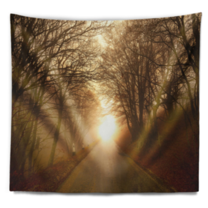 Chemin vers la lumière du soleil dans la tapisserie de la forêt d'automne, H 50 po x l 60 po