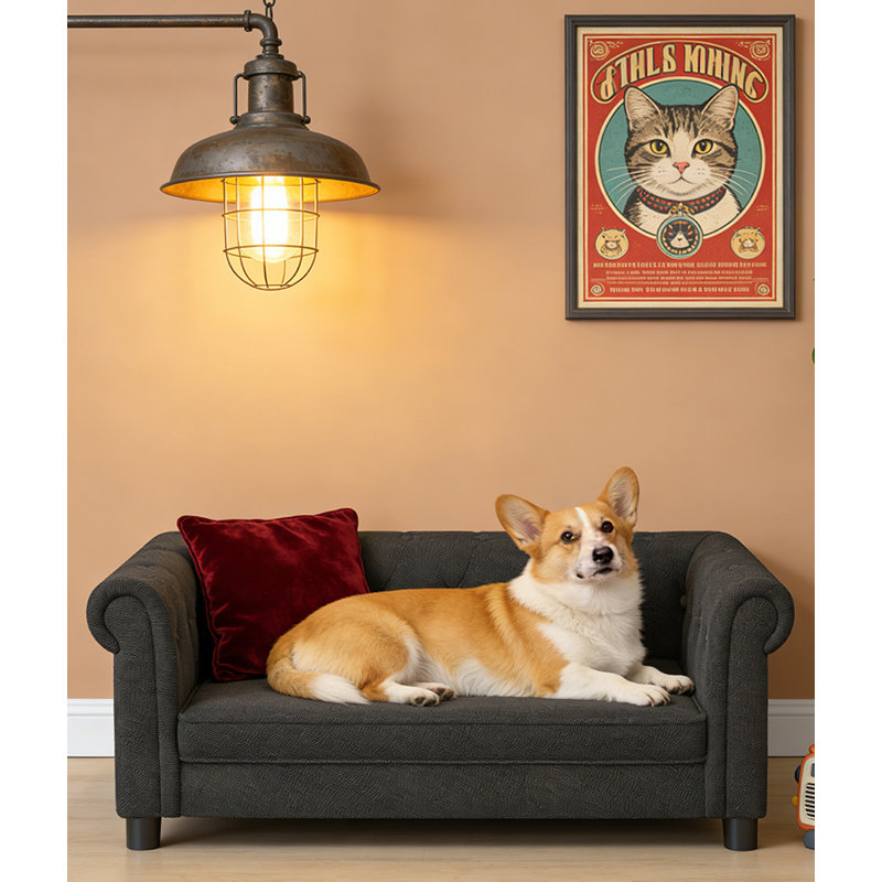 Durable Elevated Dog Sofa Bed, Black