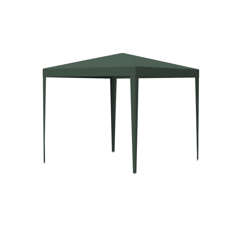 Auvent de mariage 10 pi x 10 pi pour tente de réception d'extérieur robuste + 4 murs amovibles, Vert