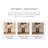 Traditional Nut-Brown Solid Wood Console Table-199013170