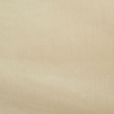 Venetian Silk Velvet Fabric