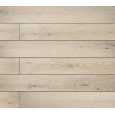 Parkland Ballintoy 9 in. x 60 in. 5mm 12mil Waterproof Rigid Core Luxury Vinyl Plank Flooring