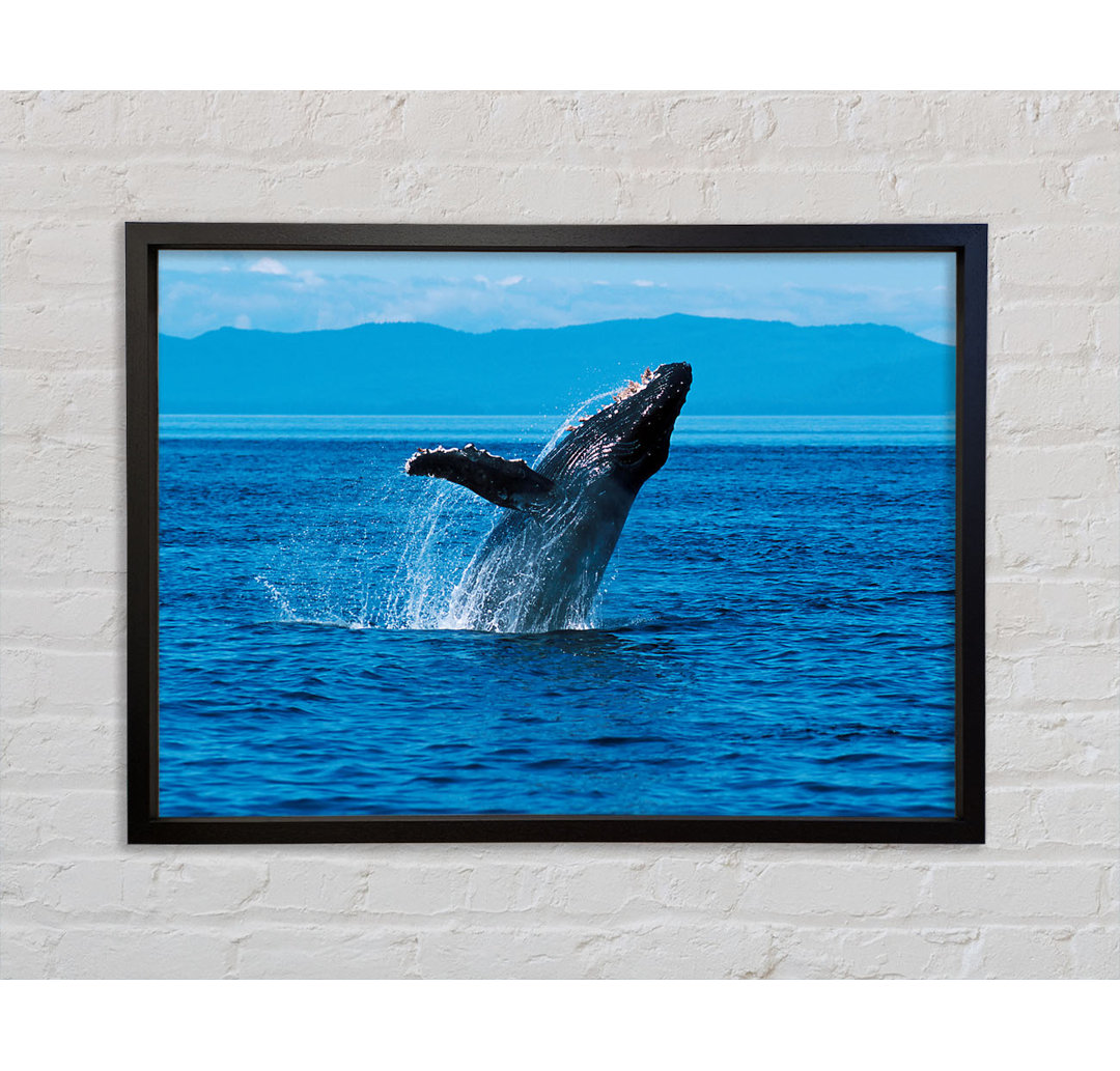 Whale Ocean Jump - Einzelner Bilderrahmen Kunstdrucke auf Leinwand