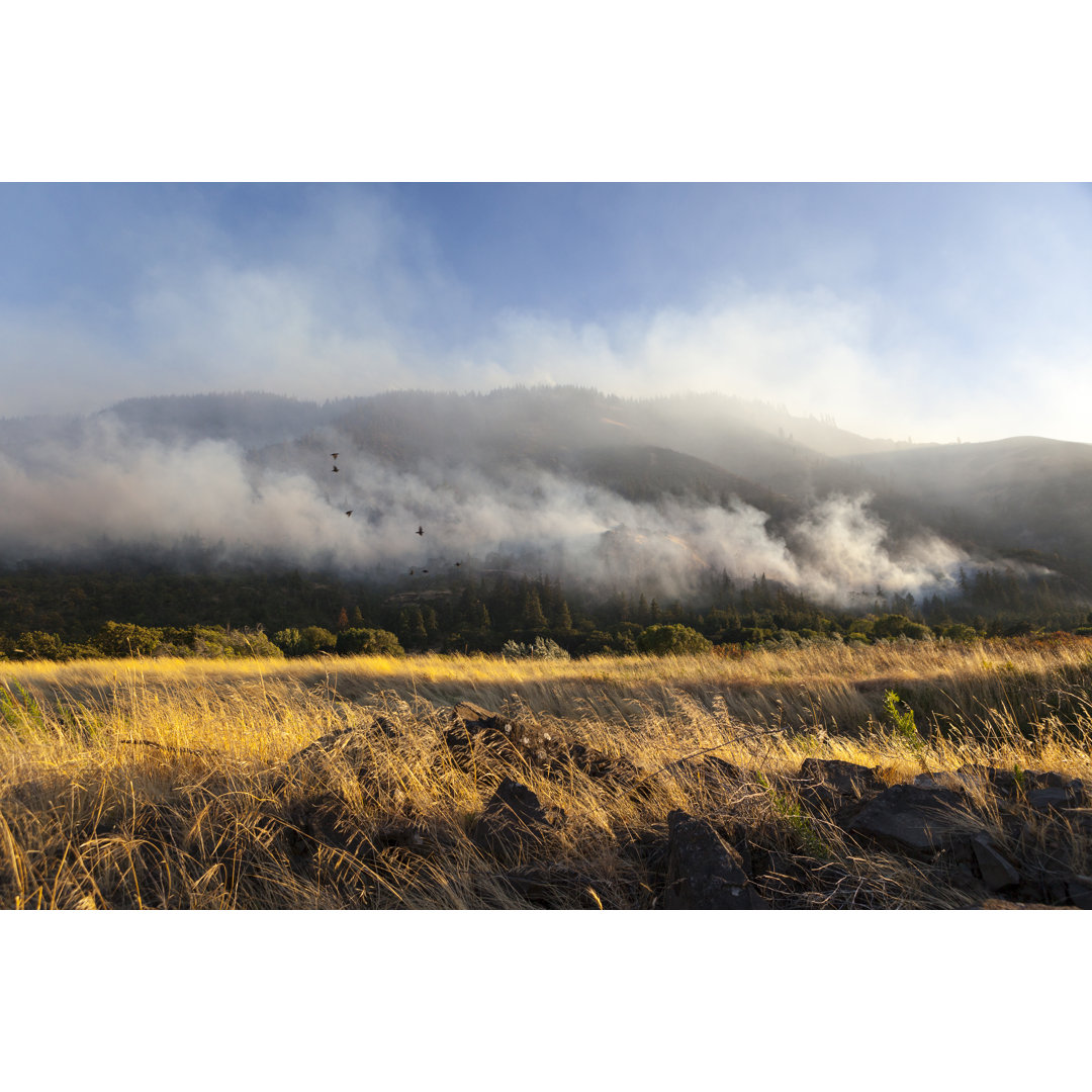 Waldbrand in der Columbia River Gorge - Leinwandbild