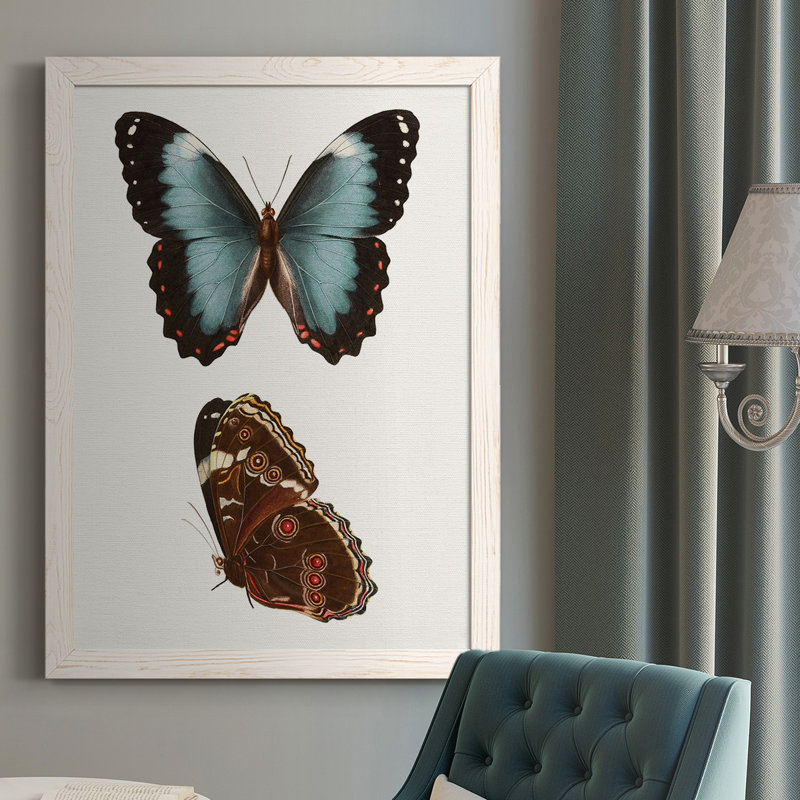 " Antique Blue Butterflies IV ", White Framed, 37.5" H x 27.5" W x 1" D
