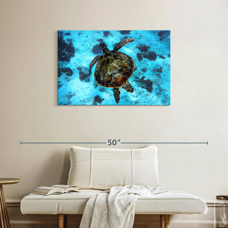 Habitat de tortue Brampt