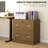 Filing Cabinet with 2 Drawers File Cabinet with Lock-103118721