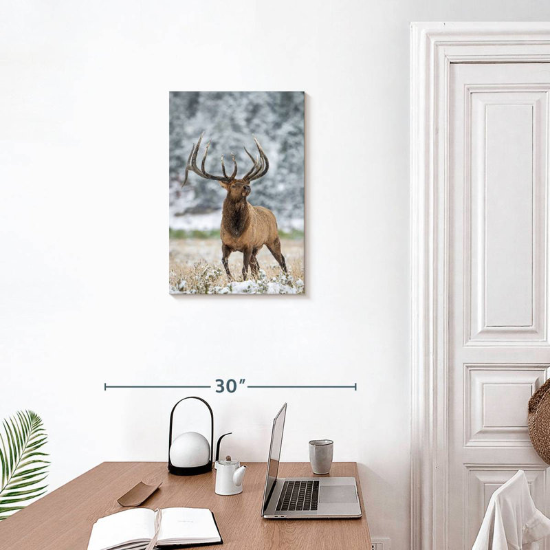 Élan des neiges Brampt, H 24 po x l 16 po