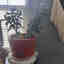 Customer photo 3 of 3