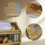 Food Storage Container