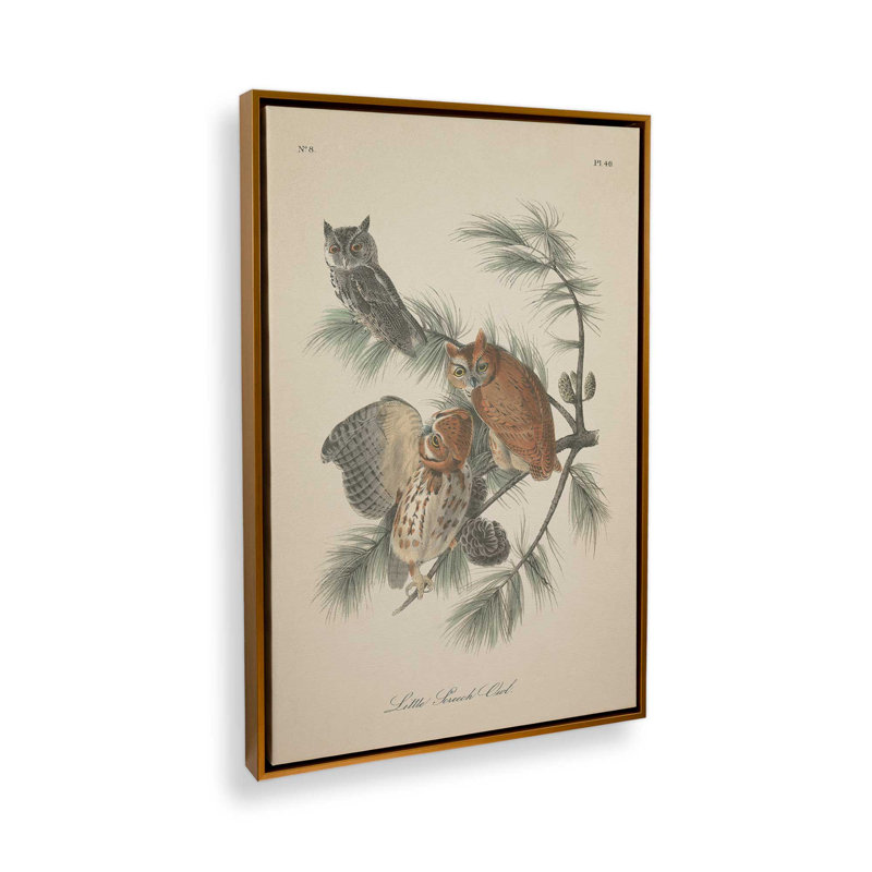 «Woodland Guardians», reproduction sur toile roulée, H 12,75 po x l 8,75 po x P 1,75 po, Cadre doré