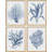 " Navy Blue Marine Coral Leaves Floral Botanical Plant " 4 - Pieces-97770268-97770267
