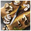 Couteau d'office 5 pouces ZWILLING