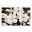 «White Chocolate Blooms I», reproduction multi-pièces sur toile-24015091