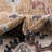Bloomsbury Market Erica Rug-274335488