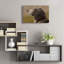 «Dog Wander» par John Silver-26152026