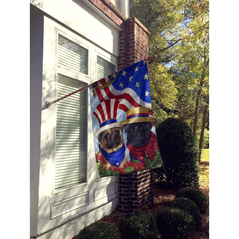 Drapeau de maison Hvidovre Sheltie Halloween en polyester à 2 faces 3 x 2 pi, Carlin États-Unis