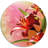 " Beautiful Vector Flower "-148543438-148543480