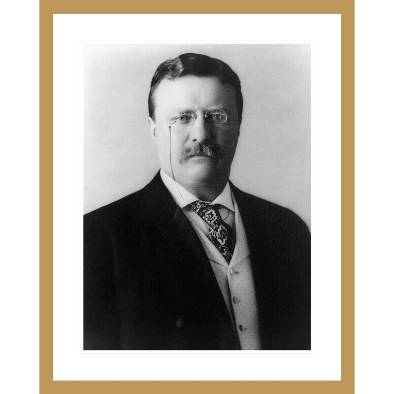 «Theodore Roosevelt» par Pach Brothers, impression giclée sur cadre, 29.39" H x 23.5" W