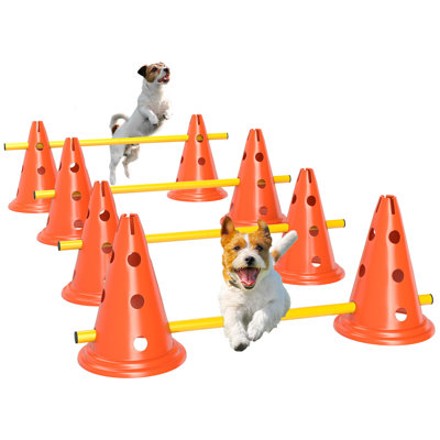 30cm H Plastic Dog Agility