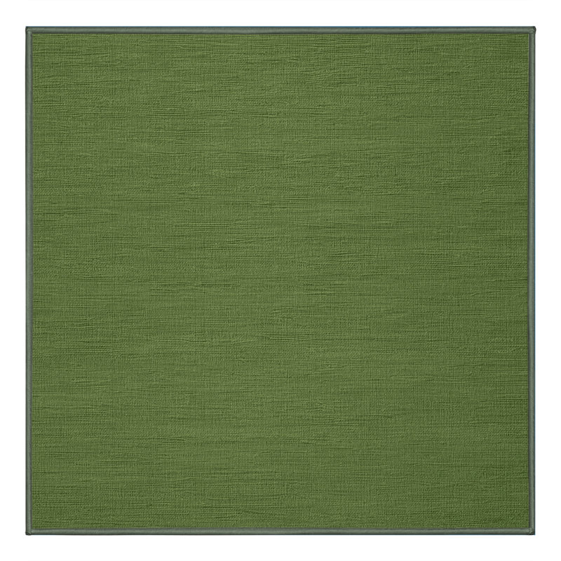 Machine Washable Solid Green Area Rug, Square 3'