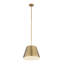 Luminaire suspendu à 1 lumière Wolleik-2032894400-2032894401