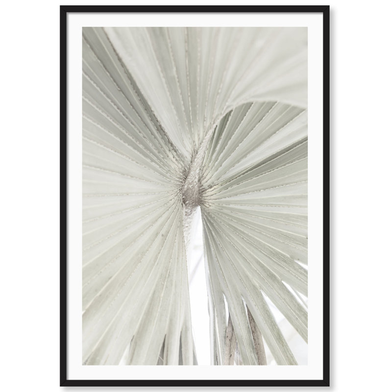 «Mint Palm» par Carly Tabak - Photographie avec cadre photo, Bois noir, L 18 po x H 25 po