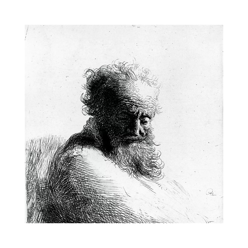 Head of an old man, 1631 by Rembrandt van Rijn - 1 Piece Wrapped Canvas Wall Art, 30.48 cm H x 30.48 cm W
