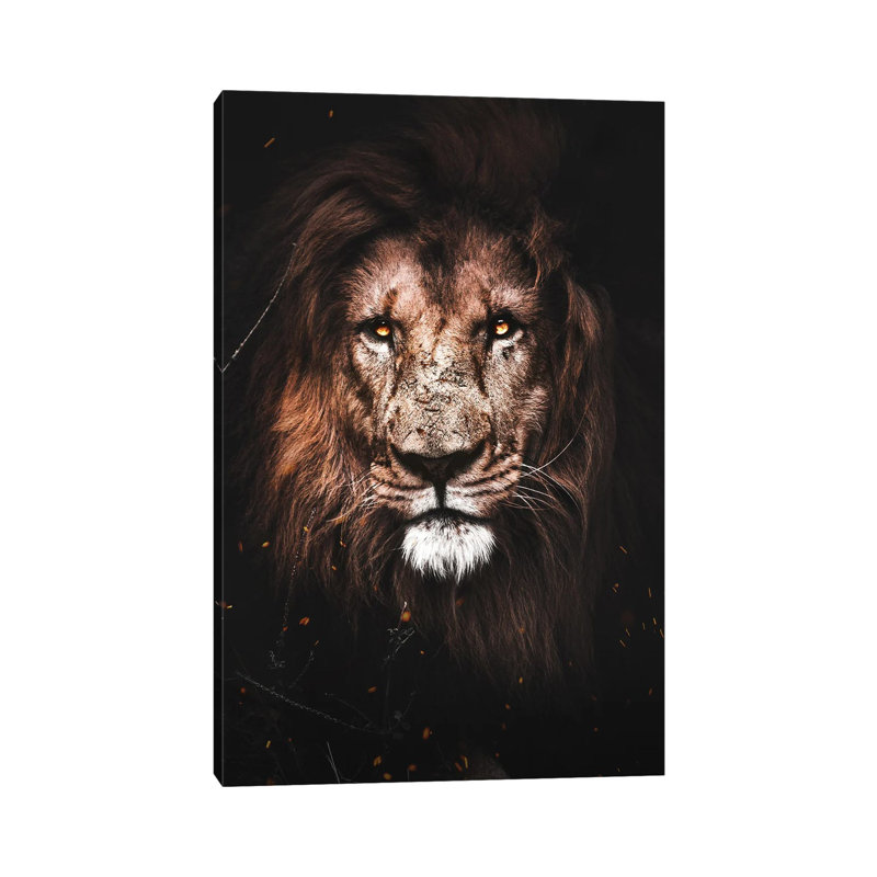 Lion I by Milos Karanovic - Wrapped Canvas Painting, 20.32 cm H x 30.48 cm W