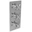 Fleetwood Thermostatic Shower System with Two Integrated Flow Controls