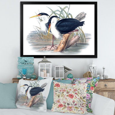 " Vintage Bird Life II " Painting Print