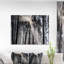«Sunbeam Through Black White Forest», photographie-35125685-35125691
