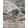 Tapis oriental gris Cambrie