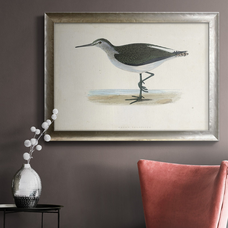 Toile encadrée de qualité supérieure Morris Sandpipers VI - prête à être accrochée, H 18 po x l 27 po