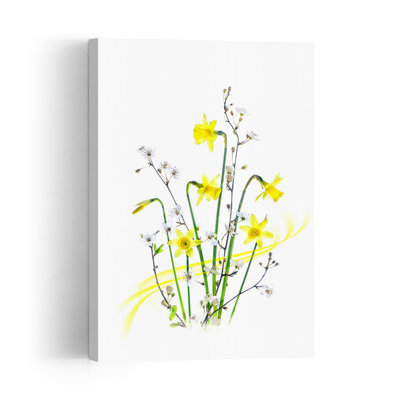 Bright Spring Daffodils Delicate Serene Vibrant Daffodil Nature Spring Wall Art Print 1 Piece Wrapped Canvas Wall Art