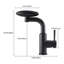 Belfry Kitchen Pull Out Kitchen Faucet