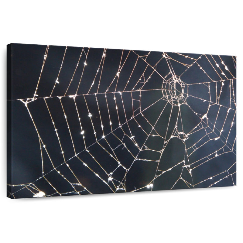 Crowle Spider Web, 34" H x 51" W