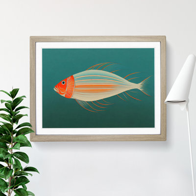Fish Portrait Vol.2 - Single Picture Frame Print
