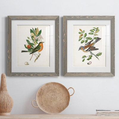 " Antique Bird, Botanical and Egg I " 2 Piece Art Color Photography Painting