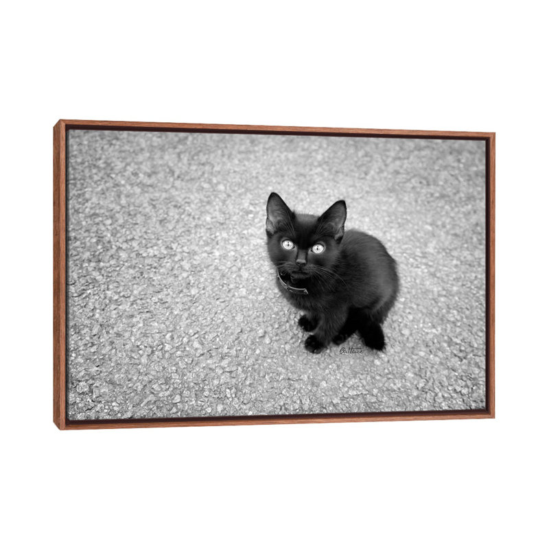 Just A Baby by Ben Heine - Print on Canvas, Classic Brown Wood Framed, 101.6 cm H x 66.04 cm W