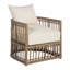 Newport Arm Chair with Cushions-84544964-63361294-62397491