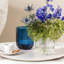 Villeroy & Boch Fleur Blue Vase, 8.75 in, Blue, Dishwasher Safe, Mouth-Blown and Handmade Glass Vase-1515095015-1536883482