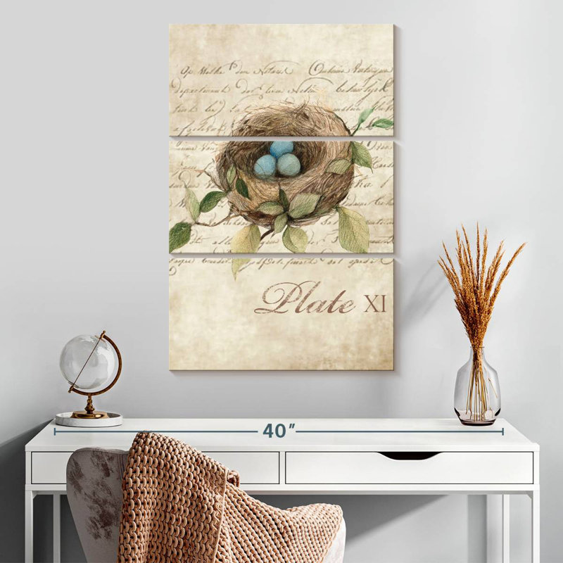 Brampt Bird Nest Study, 32" H x 20" W