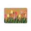 Multicolore et brun clair 24 po x 36 po Doorstep Porch Tulip Garden